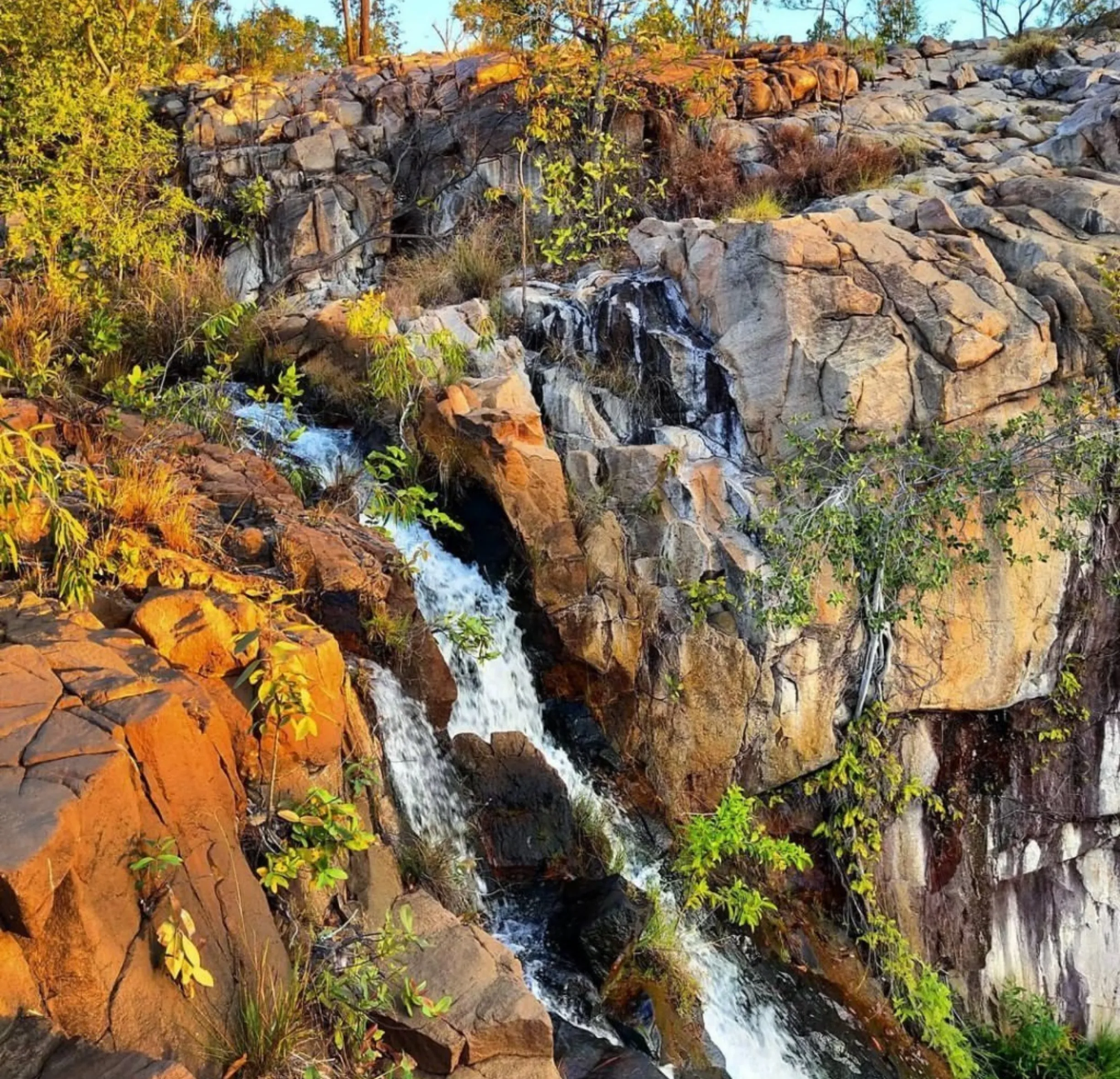 Wet season