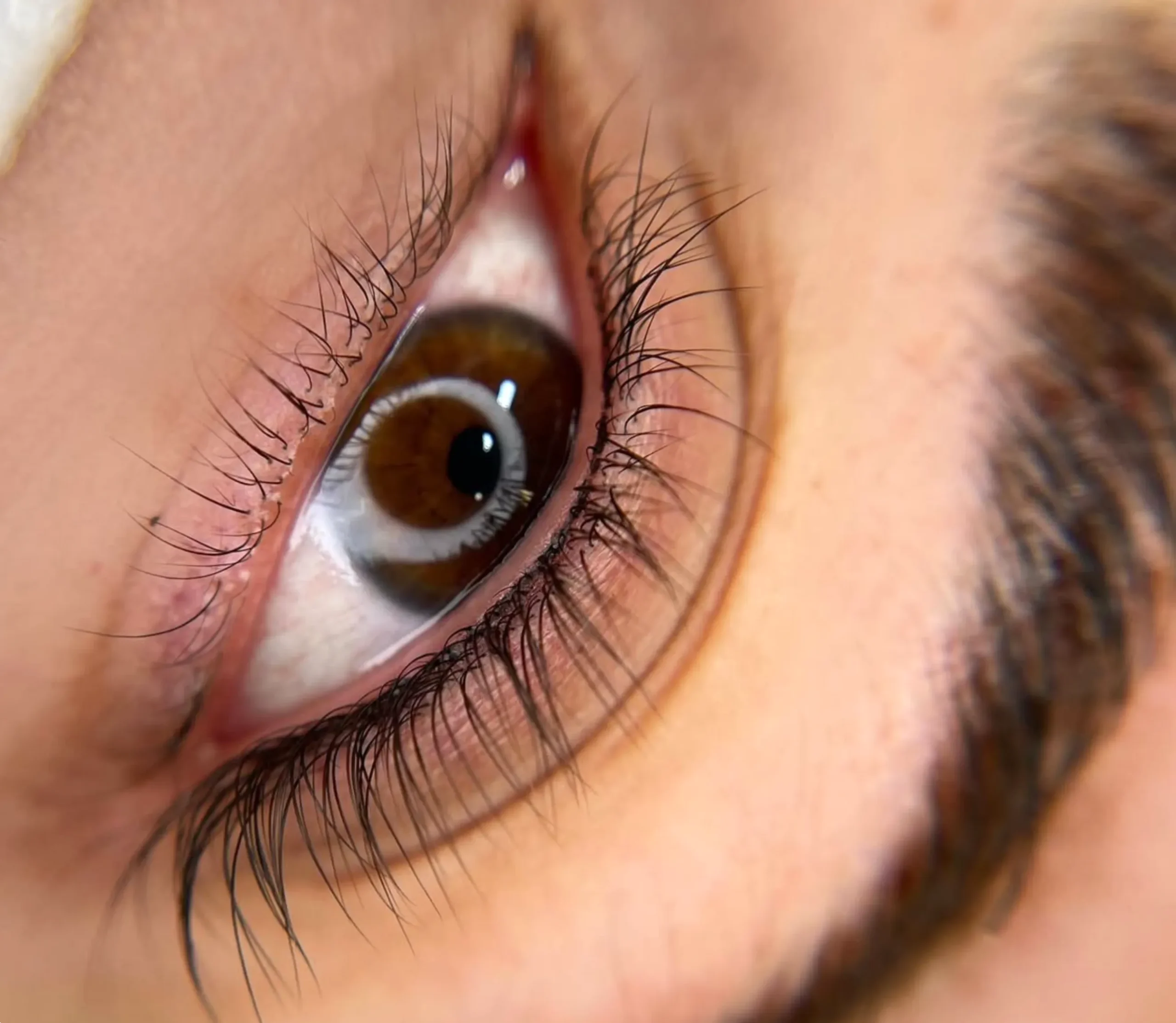 when to get eyeliner tattoo touch up